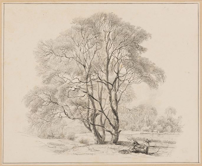 Carl Ludvig MESSMANN - Study of Two Trees by a Lake or Pond  | MasterArt